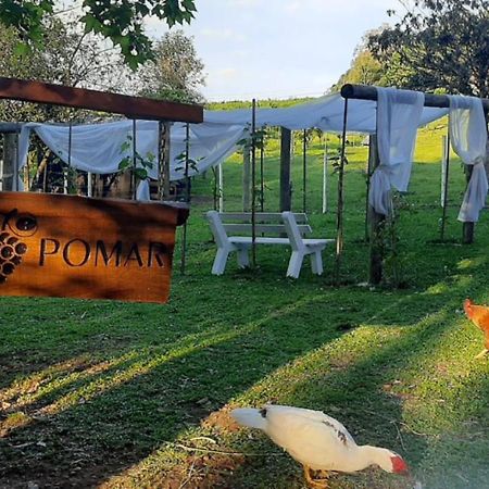 Casa Na Arvore Com Hidro, Piscina, Trilha, Cavalo Bento Gonçalves Kültér fotó