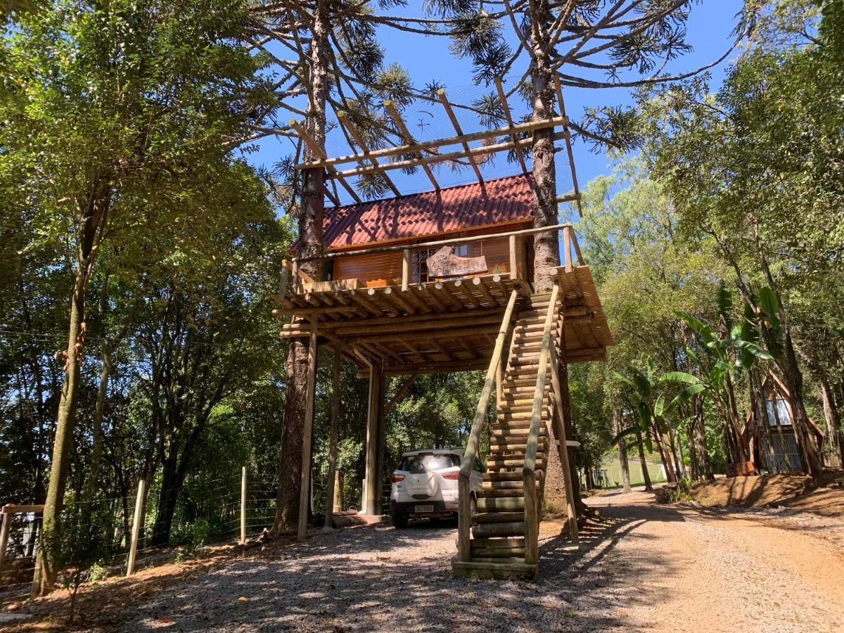 Casa Na Arvore Com Hidro, Piscina, Trilha, Cavalo Bento Gonçalves Kültér fotó