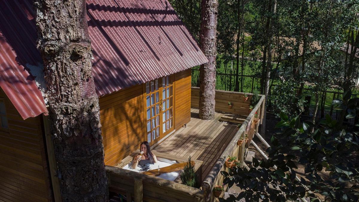 Casa Na Arvore Com Hidro, Piscina, Trilha, Cavalo Bento Gonçalves Kültér fotó