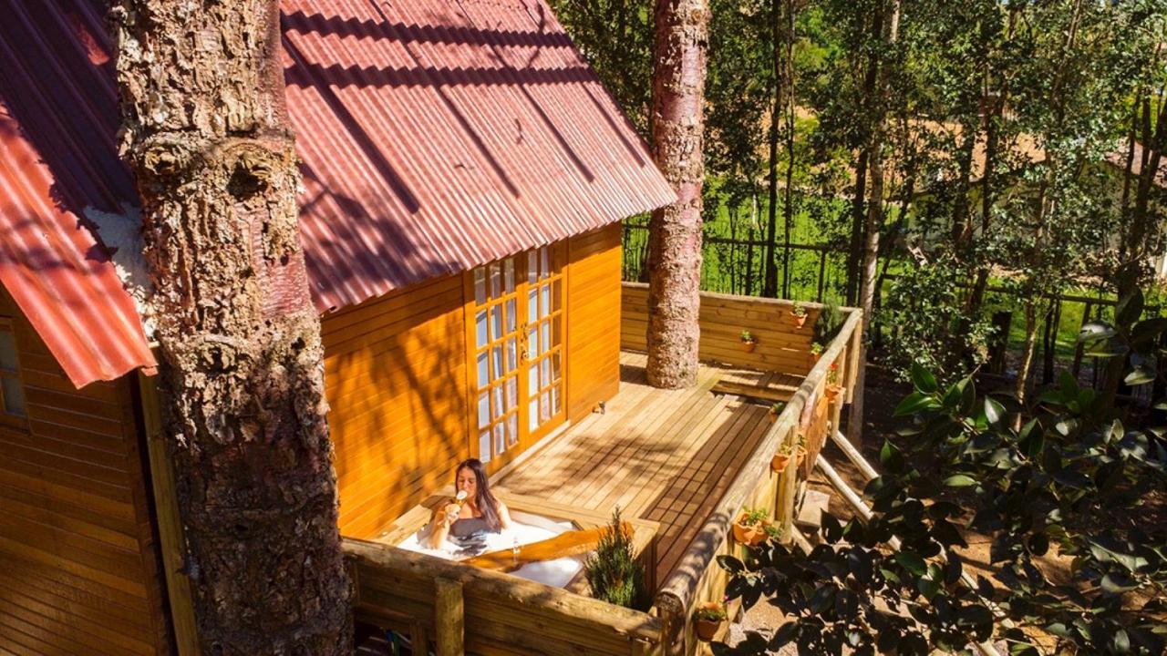 Casa Na Arvore Com Hidro, Piscina, Trilha, Cavalo Bento Gonçalves Kültér fotó