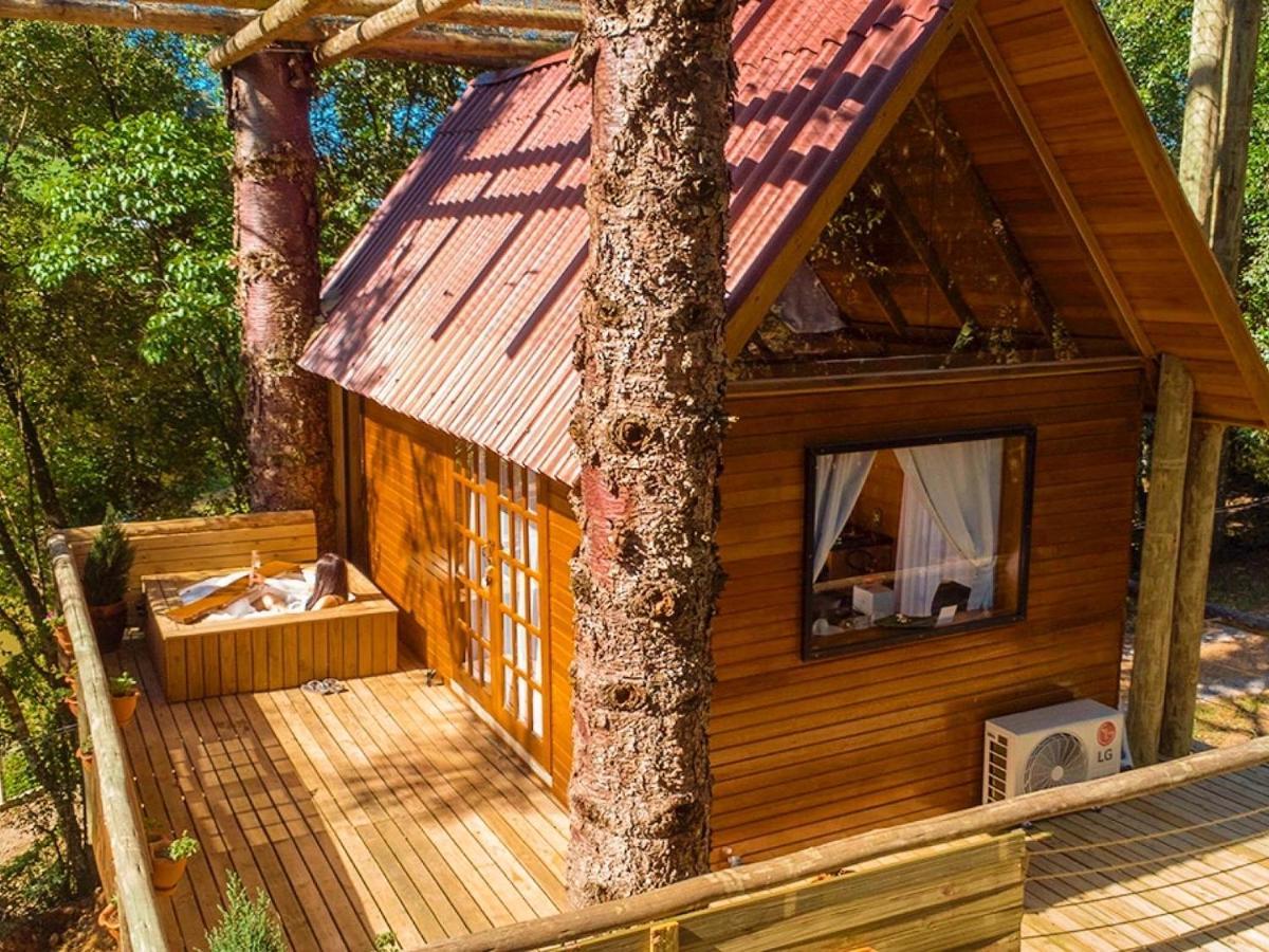 Casa Na Arvore Com Hidro, Piscina, Trilha, Cavalo Bento Gonçalves Kültér fotó