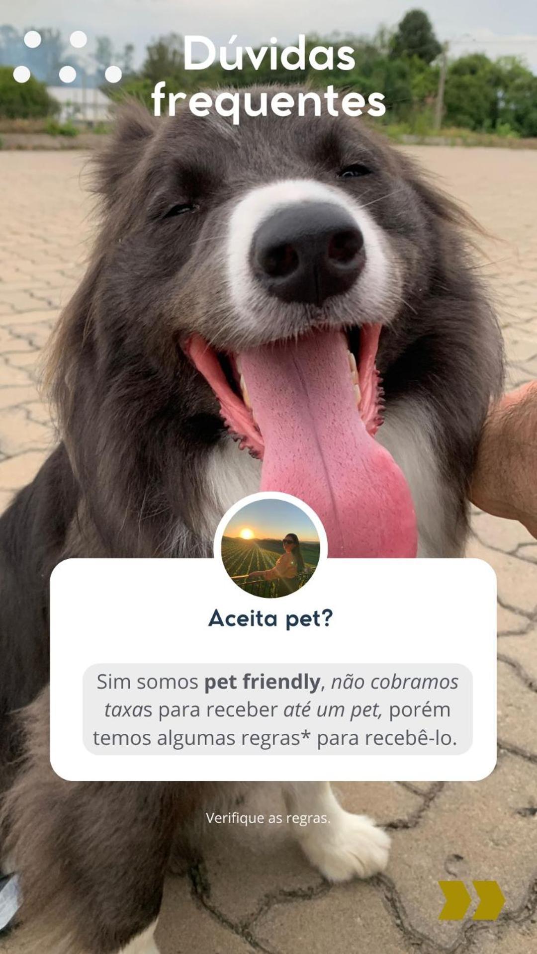 Casa Na Arvore Com Hidro, Piscina, Trilha, Cavalo Bento Gonçalves Kültér fotó