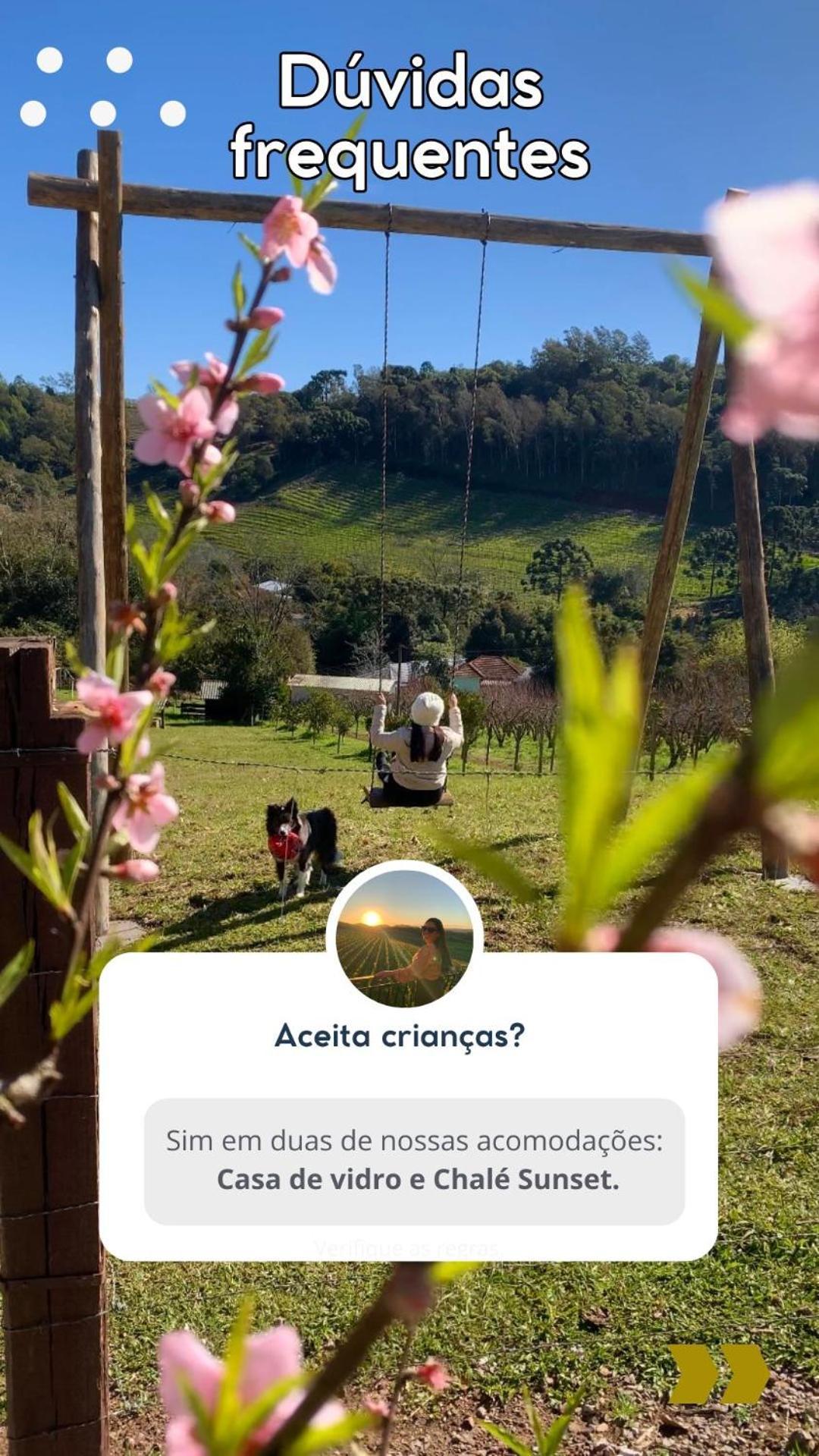 Casa Na Arvore Com Hidro, Piscina, Trilha, Cavalo Bento Gonçalves Kültér fotó