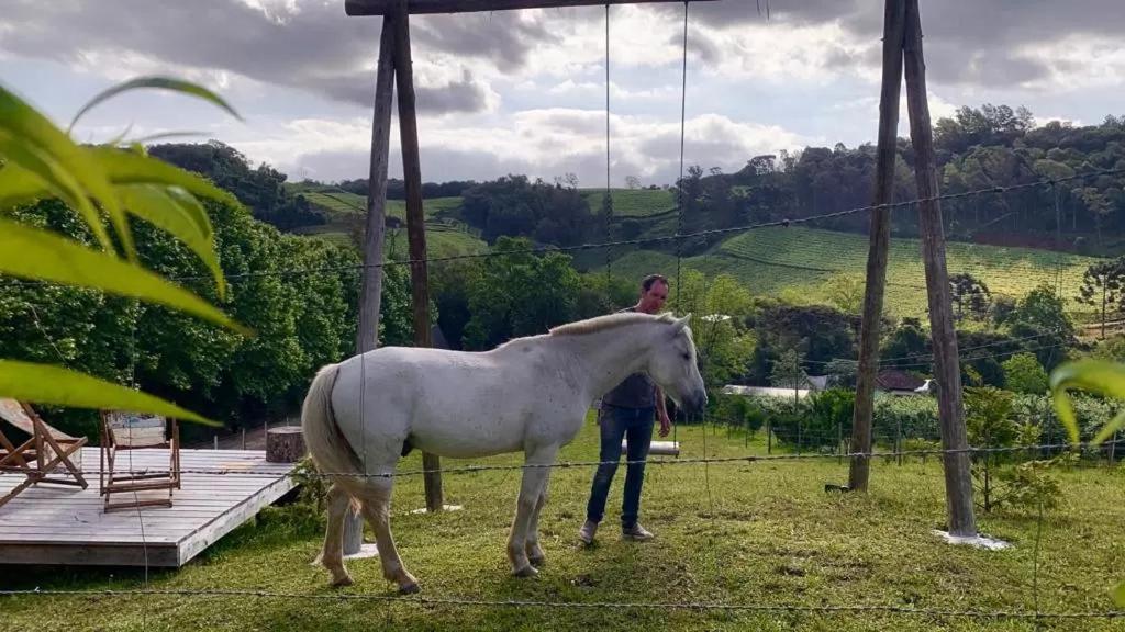 Casa Na Arvore Com Hidro, Piscina, Trilha, Cavalo Bento Gonçalves Kültér fotó