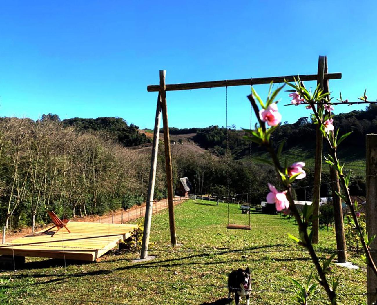 Casa Na Arvore Com Hidro, Piscina, Trilha, Cavalo Bento Gonçalves Kültér fotó
