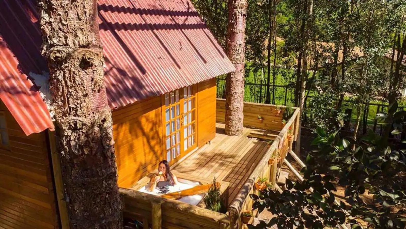 Casa Na Arvore Com Hidro, Piscina, Trilha, Cavalo Bento Gonçalves Kültér fotó